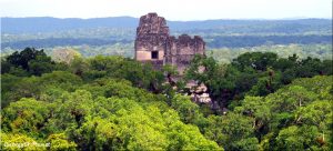 Pyramid peaks tikal guatemala