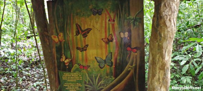 (5) The Lights Along the Way [Updated]